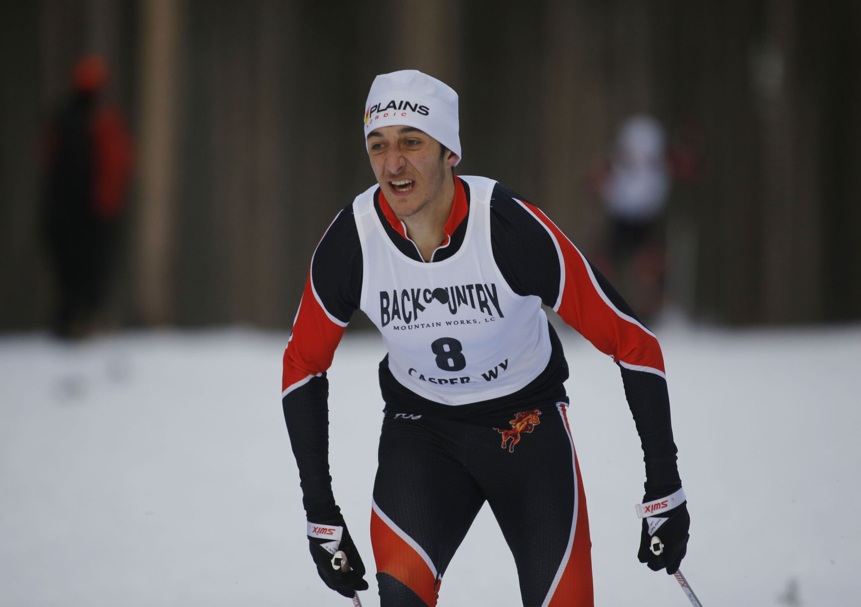 Nordic Skiing
